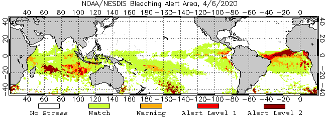2 Months Bleaching Alert Area Animated Gif