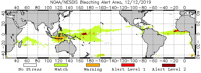 6 Months Bleaching Alert Area Animated Gif
