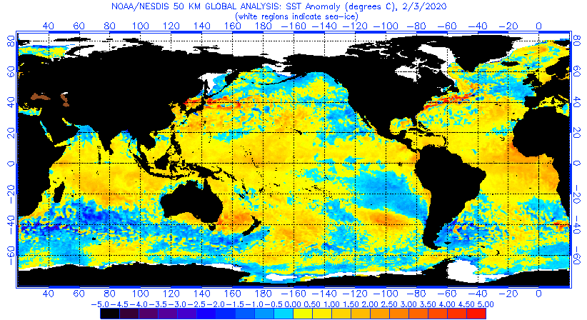 4 Months Sea Surface Temperature Animated Gif