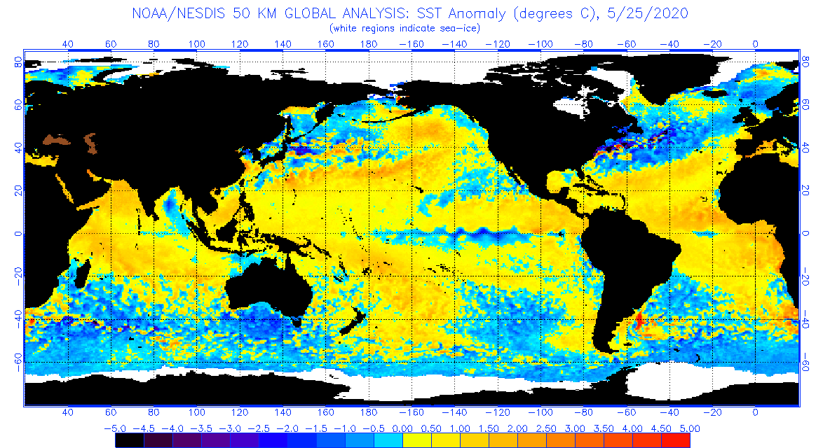 **global map of current SST anomalies loading or temporarily unavailable