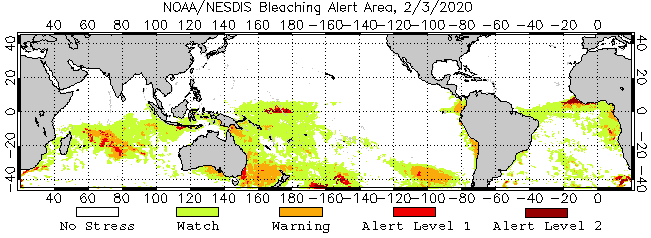 4 Months Bleaching Alert Area Animated Gif