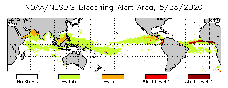 clickable global map of Bleaching Alert Areas