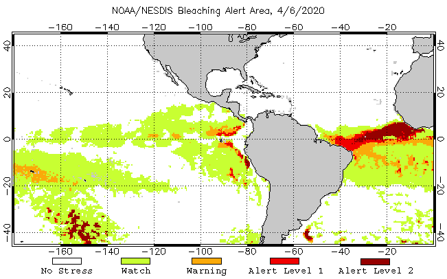 2 Months Bleaching Alert Area Animated Gif