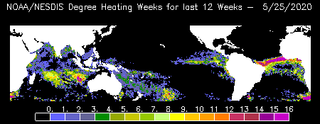 clickable global map of degree heating weeks