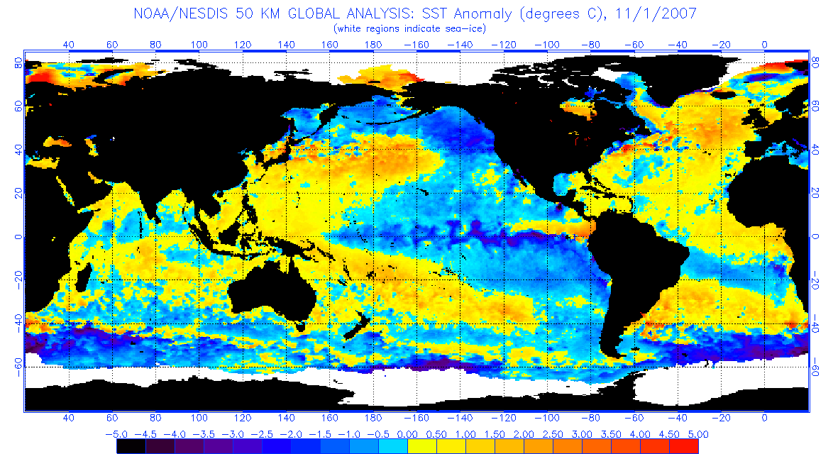 global map of SST anomalies for November 1, 2007