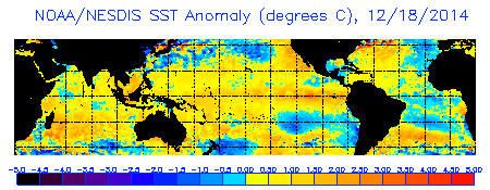 Global map of SST anomalies