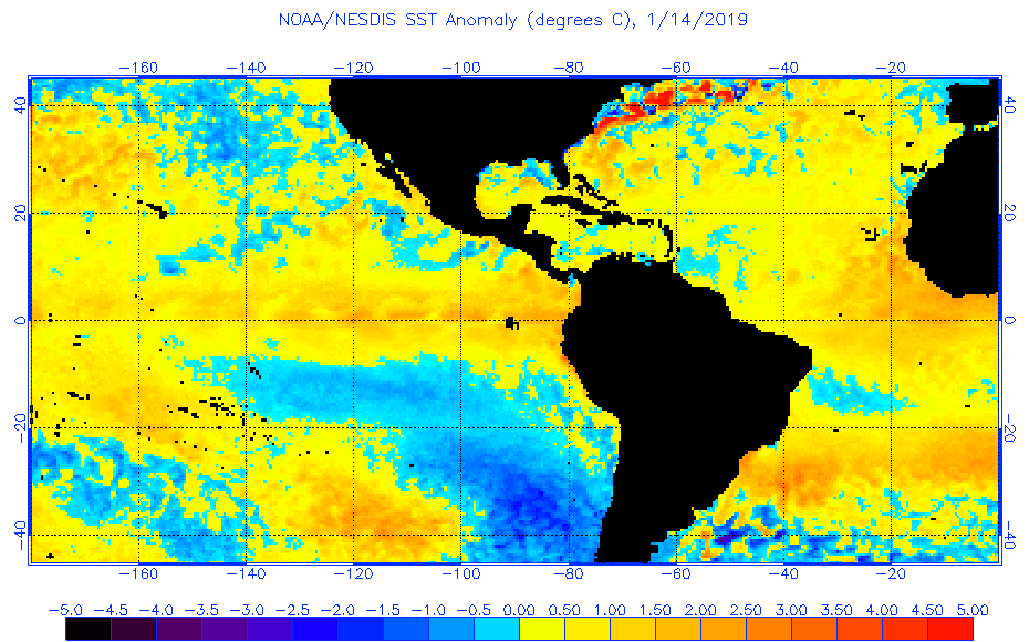 Atlantic Ocean Water Temperature Chart